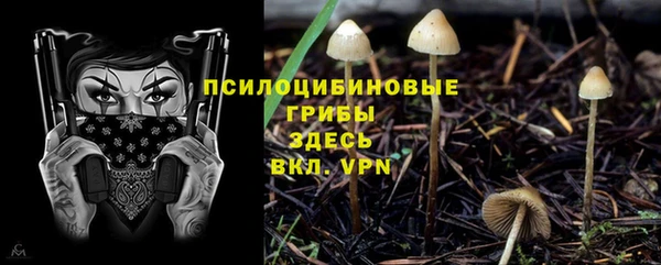 дмт Белоозёрский